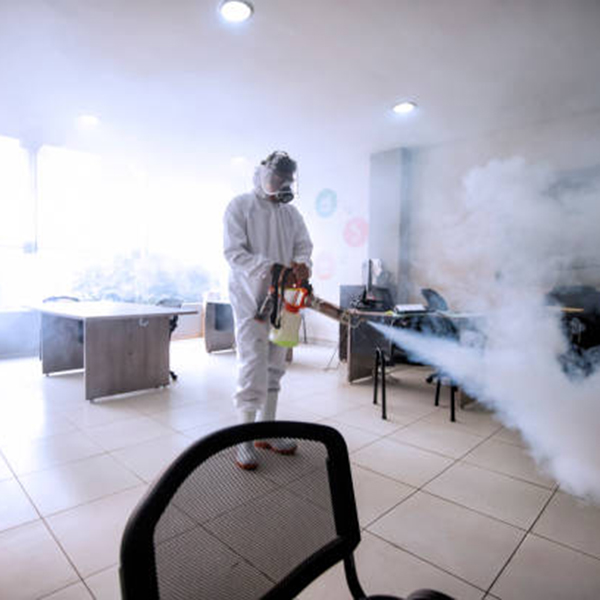 Disinfection, Sanitization of a restaurant bar